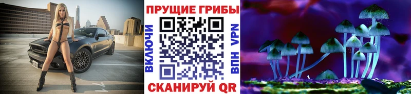 blacksprut как войти  Дмитровск  Галлюциногенные грибы GOLDEN TEACHER 